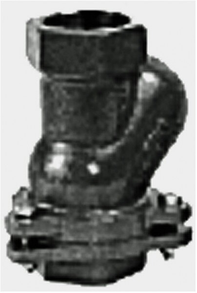 Grundfos Kugelrückschlagventil Grauguss, PN 10 Rp 1 1/2" IG