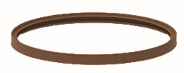 Fröling Lippendichtung Dm150