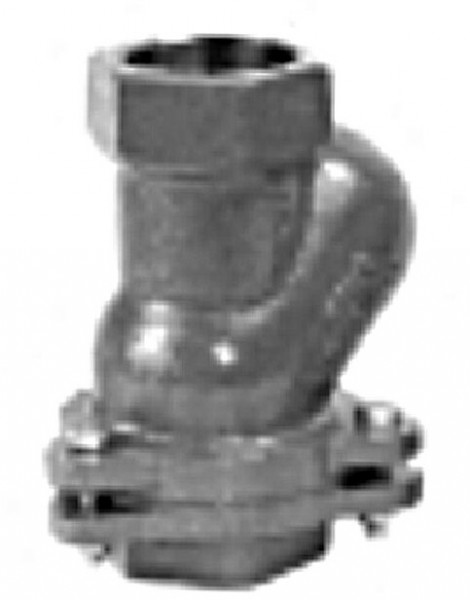 Grundfos Kugelrückschlagventil Grauguss, Rp 2" IG
